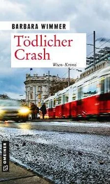 Barbara Wimmer Tödlicher Crash обложка книги