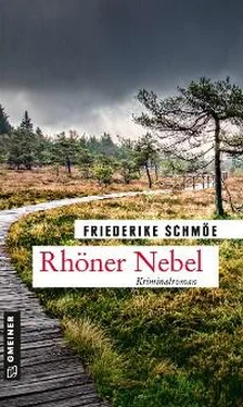 Friederike Schmöe Rhöner Nebel обложка книги