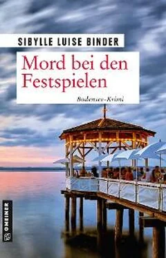 Sibylle Luise Binder Mord bei den Festspielen обложка книги