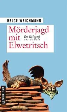 Helge Weichmann Mörderjagd mit Elwetritsch обложка книги