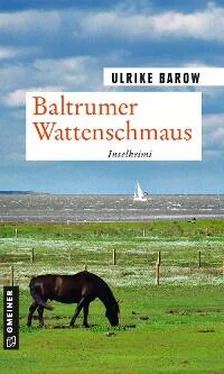 Ulrike Barow Baltrumer Wattenschmaus обложка книги