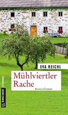 Eva Reichl Mühlviertler Rache обложка книги