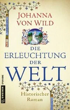 Johanna von Wild Die Erleuchtung der Welt обложка книги