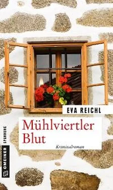 Eva Reichl Mühlviertler Blut обложка книги
