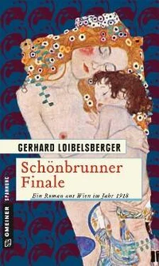 Gerhard Loibelsberger Schönbrunner Finale обложка книги