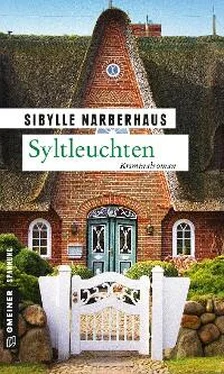 Sibylle Narberhaus Syltleuchten обложка книги