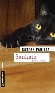 Kaspar Panizza Saukatz обложка книги
