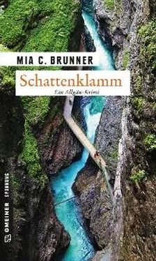 Mia C. Brunner Schattenklamm обложка книги
