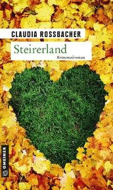 Claudia Rossbacher Steirerland обложка книги