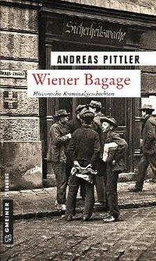 Andreas Pittler Wiener Bagage обложка книги