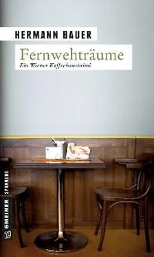 Hermann Bauer Fernwehträume обложка книги