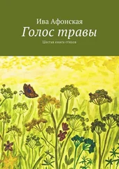 Ива Афонская - Голос травы. Шестая книга стихов