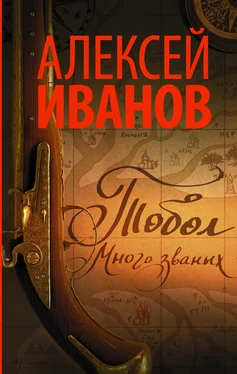 Алексей Иванов Тобол. Много званых обложка книги