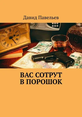 Давид Павельев Вас сотрут в порошок обложка книги