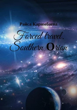 Райса Каримбаева Forced travel. Southern Оrion обложка книги