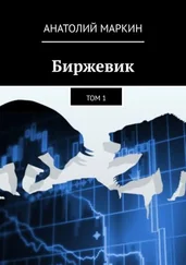 Анатолий Маркин - Биржевик. Том 1