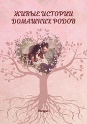Екатерина Граевская - Живые истории домашних родов