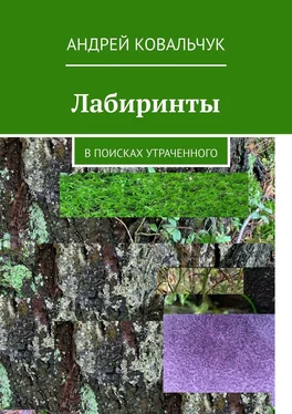 Андрей Ковальчук Лабиринты. В поисках утраченного обложка книги