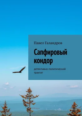 Павел Галандров Сапфировый кондор. Детективно-политический трактат обложка книги