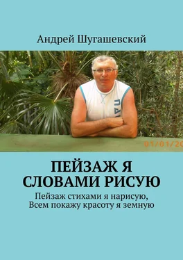 Андрей Шугашевский Пейзаж я словами рисую обложка книги