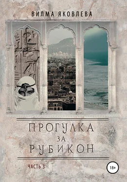 Вилма Яковлева Прогулка за Рубикон. Часть 3 обложка книги