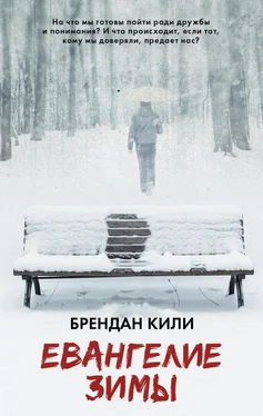 Брендан Кили Евангелие зимы обложка книги