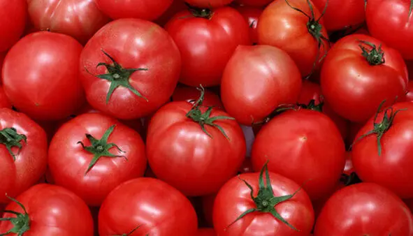 Cooking Rinse the tomatoes Trim the top from each and carefully with a - фото 5