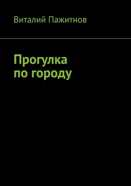 Виталий Пажитнов Прогулка по городу обложка книги