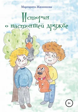Маргарита Жизникова История о настоящей дружбе обложка книги