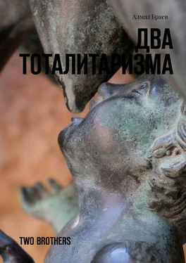 Алмаз Браев Два тоталитаризма. Two brothers обложка книги