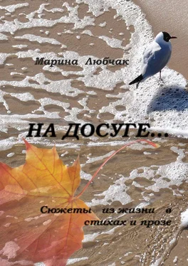 Марина Любчак На досуге… Сюжеты из жизни в стихах и прозе обложка книги