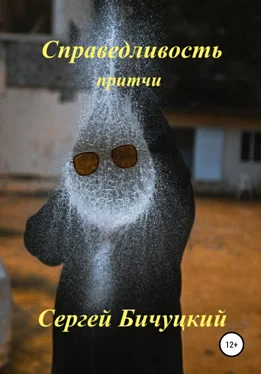 Сергей Бичуцкий Справедливость обложка книги
