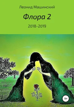Леонид Машинский Флора 2 обложка книги