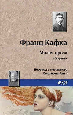 Франц Кафка Малая проза (сборник) обложка книги