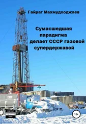 Гайрат Махмудходжаев - Сумасшедшая парадигма делает СССР газовой супердержавой
