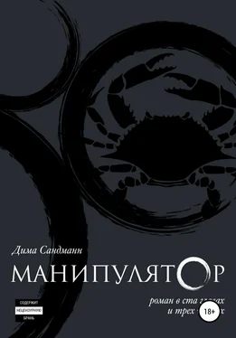 Дима Сандманн Манипулятор. Глава 023 Финальный вариант обложка книги