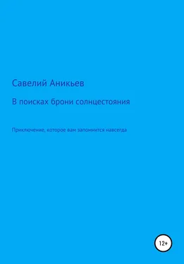 Савелий Аникьев В поисках брони солнцестояния обложка книги