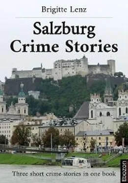 Brigitte Lenz Salzburg Crime Stories обложка книги