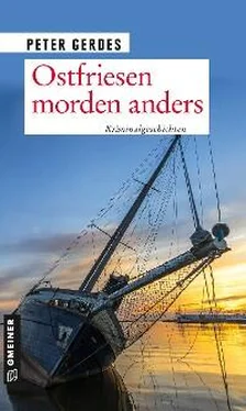 Peter Gerdes Ostfriesen morden anders обложка книги