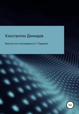 Константин Димидов Бояться или наслаждаться 2. Падение обложка книги