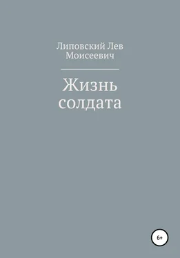 Лев Липовский Жизнь солдата обложка книги