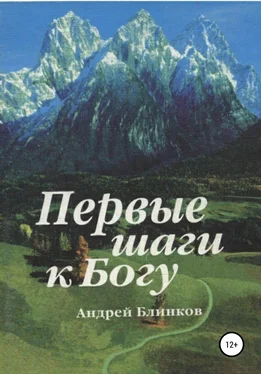 Андрей Блинков Первые шаги к Богу обложка книги