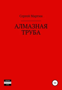 Сергей Мартин Алмазная труба обложка книги