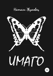 Натали Жуковец - Имаго