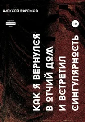 Алексей Ефремов - Как я вернулся в отчий дом и встретил сингулярность