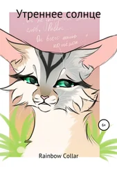 Мария Rainbow Collar - Утреннее солнце