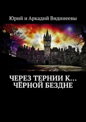 Юрий и Аркадий Видинеевы - Через тернии к… чёрной бездне