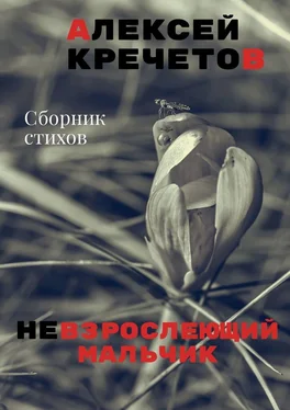 Алексей Кречетов Невзрослеющий мальчик обложка книги