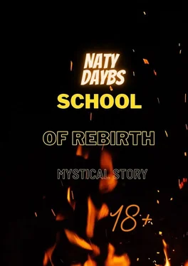 Naty Daybs School of Rebirth. Mystical Story обложка книги