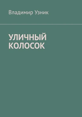 Владимир Узник УЛИЧНЫЙ КОЛОСОК обложка книги